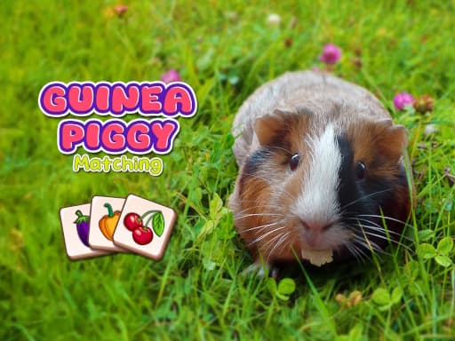 Guinea Piggy Matching