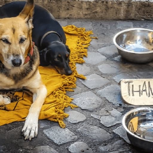 5 in 1 Picture Puzzle: Street